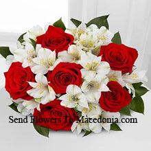 Bunch Of 7 Red Roses And Seasonal White Flowers Delivered in Macedonia