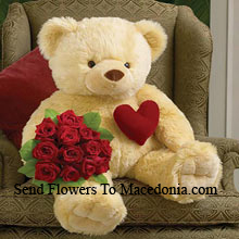 Bunch Of 11 Red Roses With A 32 Inches Tall Teddy Bear Delivered in Macedonia
