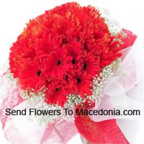 A Beautiful Bunch Of 37 Red Gerberas With Seasonal Fillers